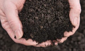 aggregates & topsoil